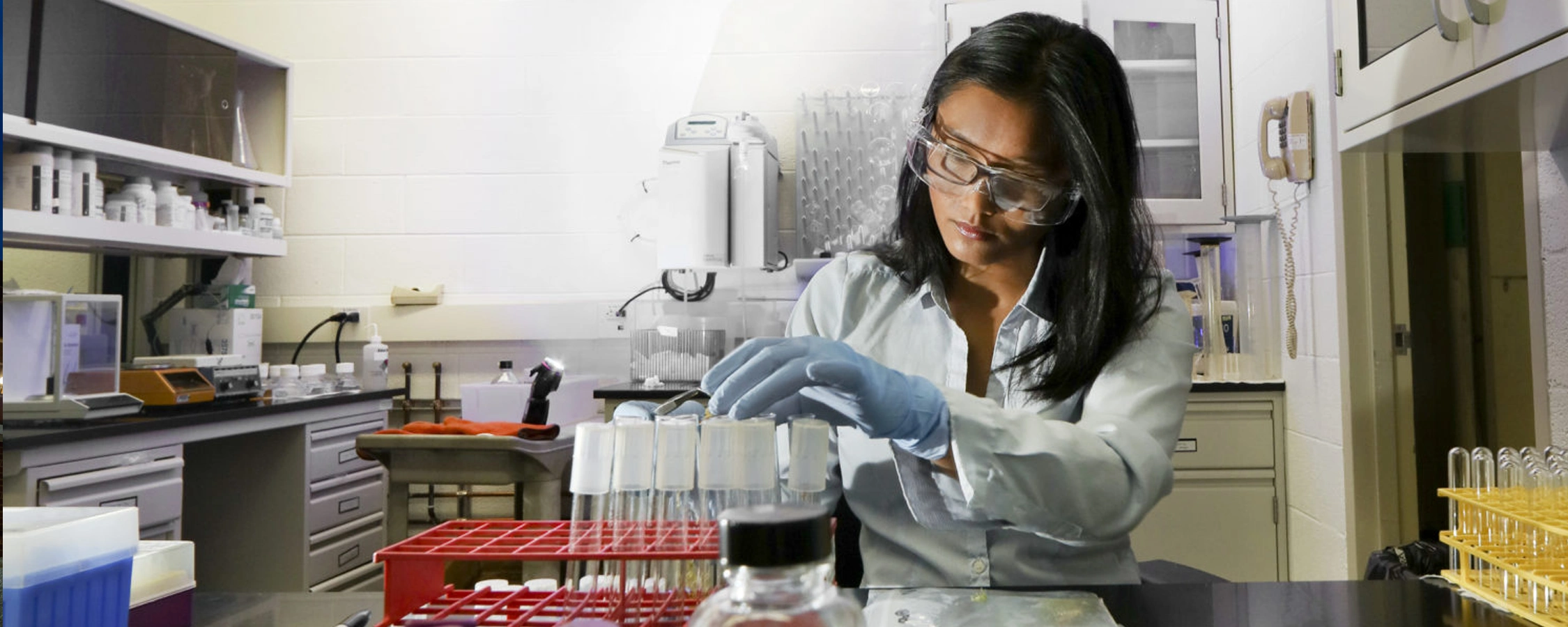 a student conducts an experiment in a laboratory